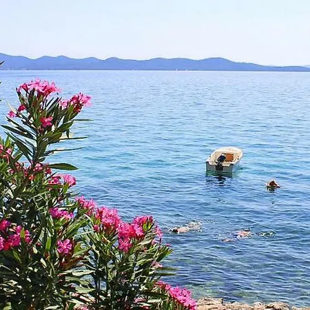 Blue Adria Zadar-kozino - Cdn02102d-eye *